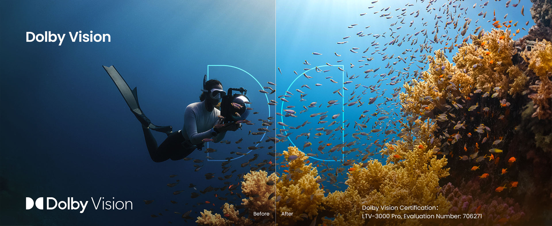 AWOL Vision LTV-3000 Pro projector provides an amazing 3D  experience, showing a woman filming underwater.
