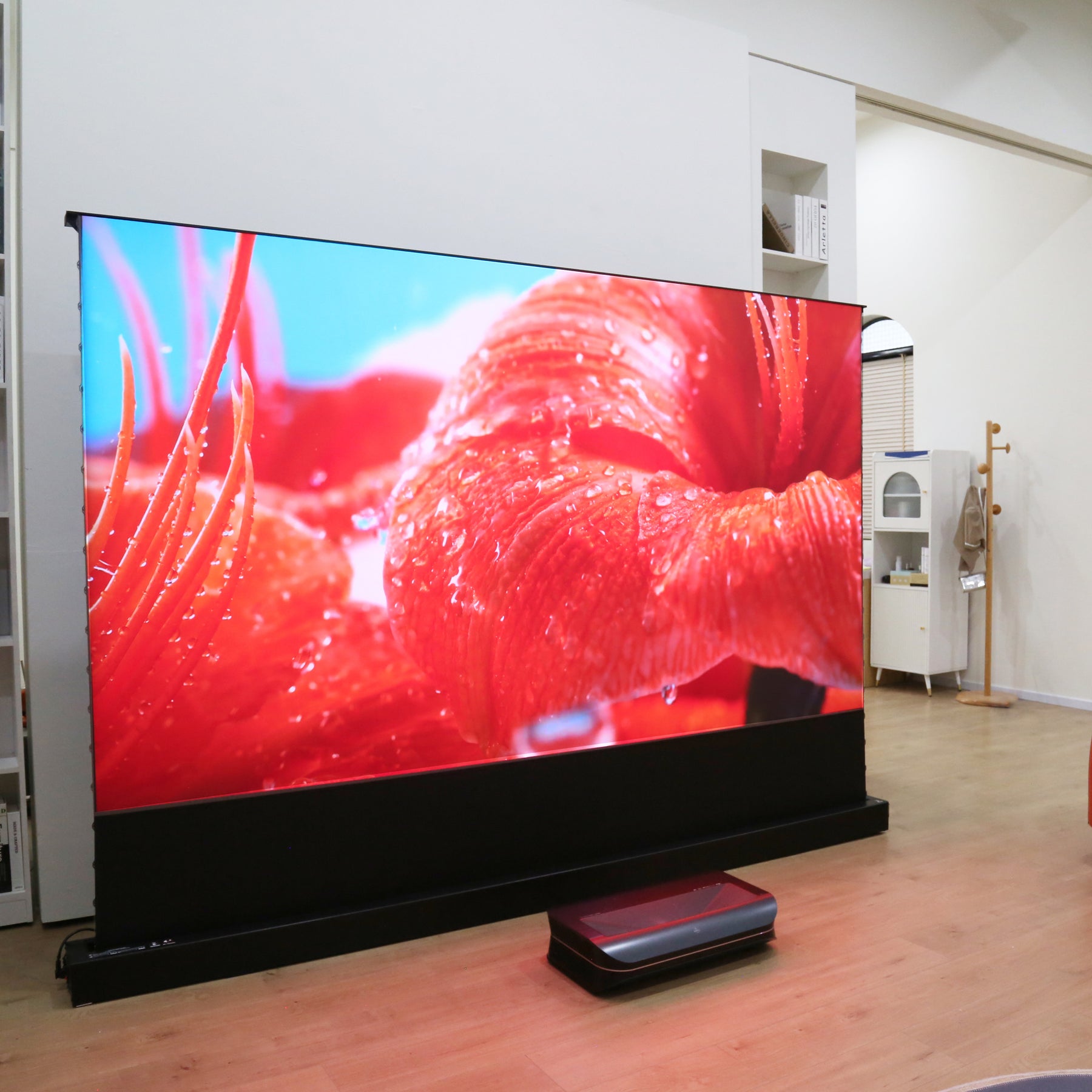 The Cinematic+ ALR motorized floor rising projector screen displays close-ups of red flowers with water droplets in vivid images.