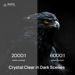 $50 AWOL VISION Aetherion Deposit Reservation - short