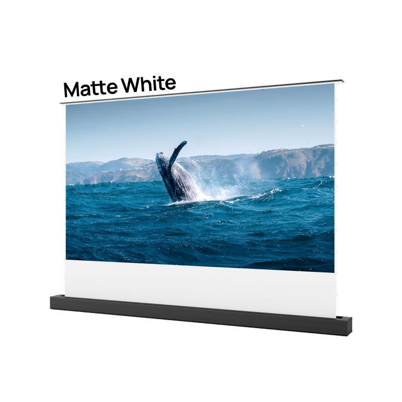 Matte White Motorized Floor Projector Screen | 100