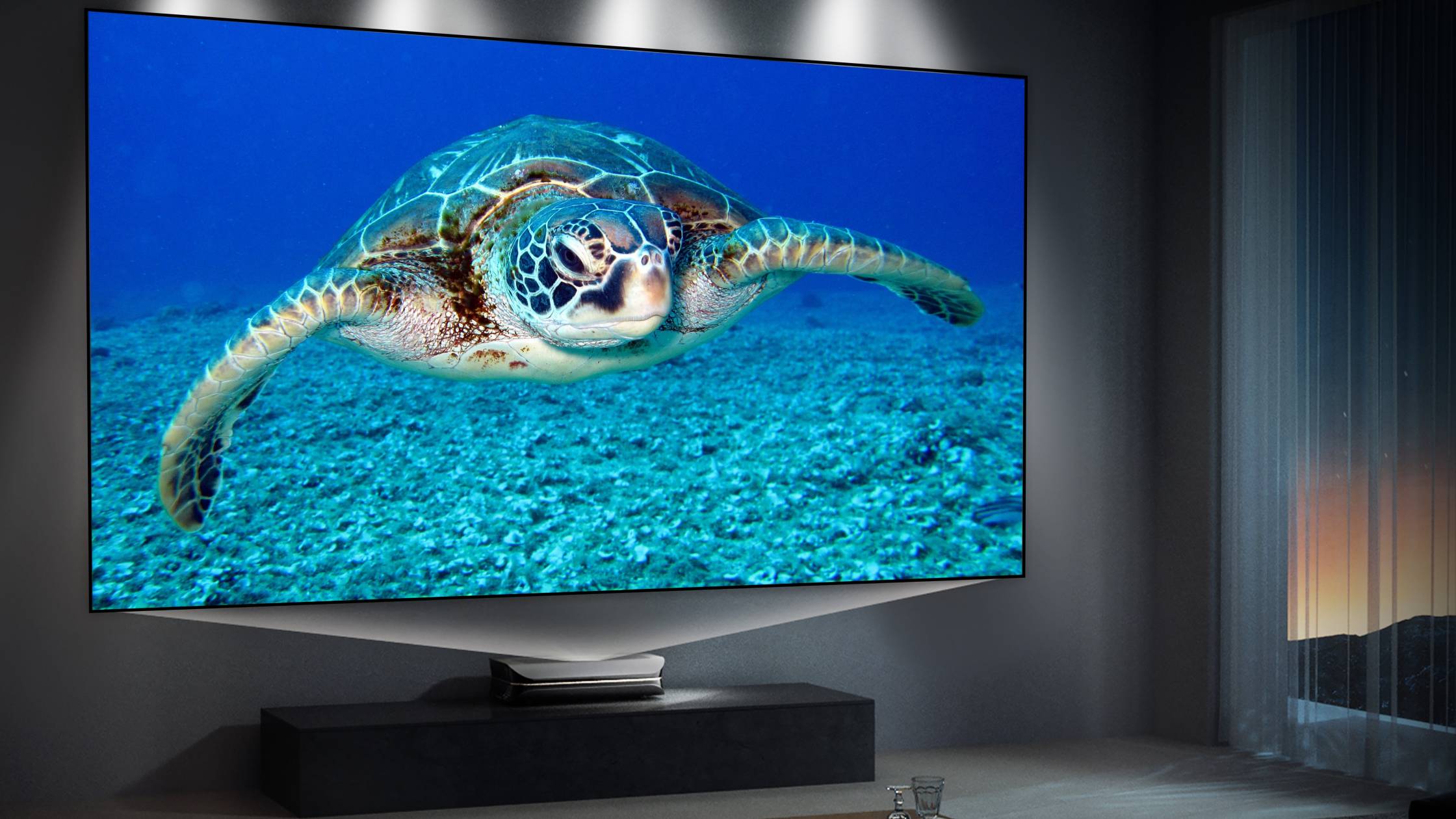 ALR vs CLR Screen: Which Do You Need?