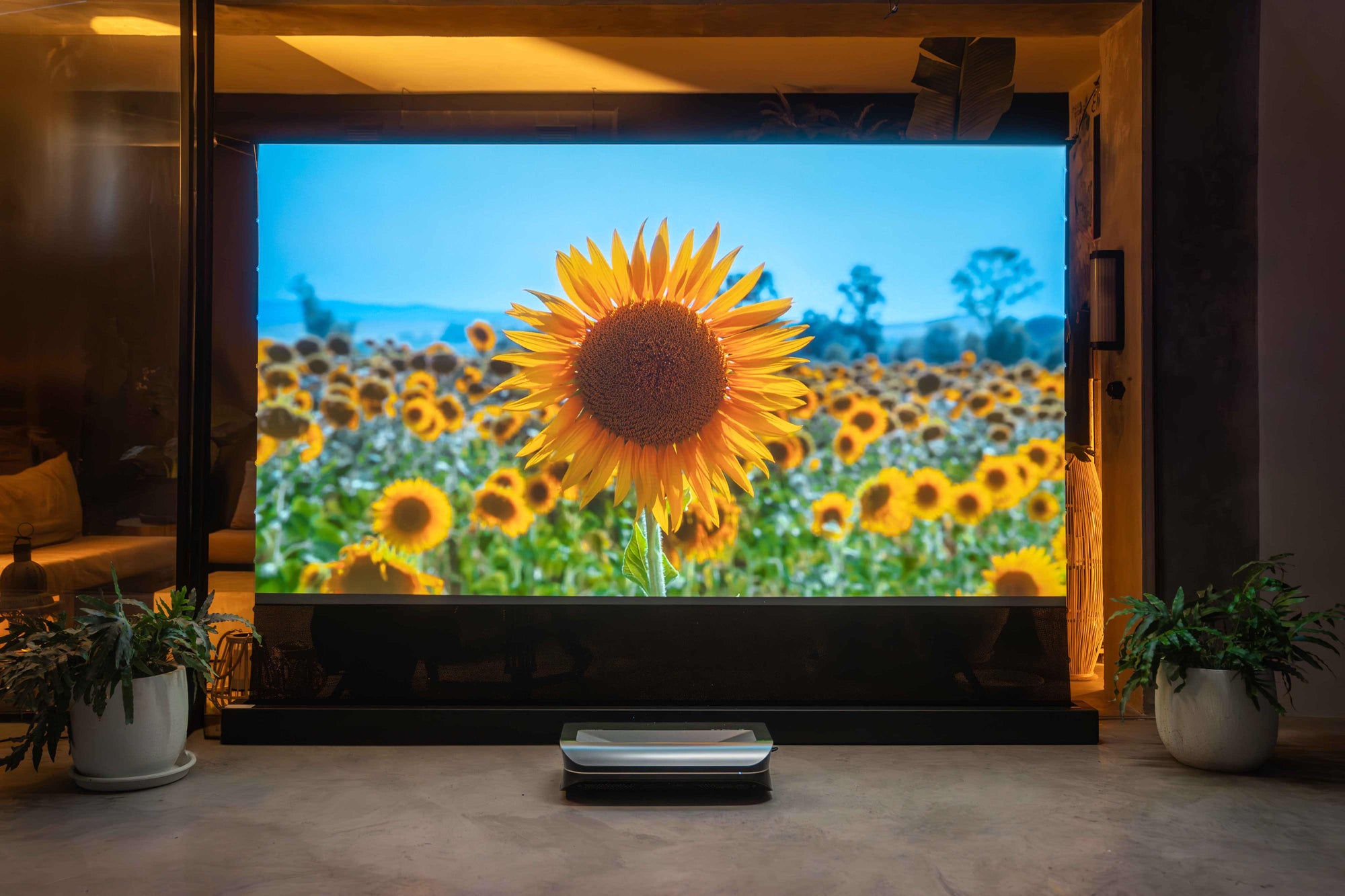 An ambient light rejecting screen provides an immersive cinematic experience.