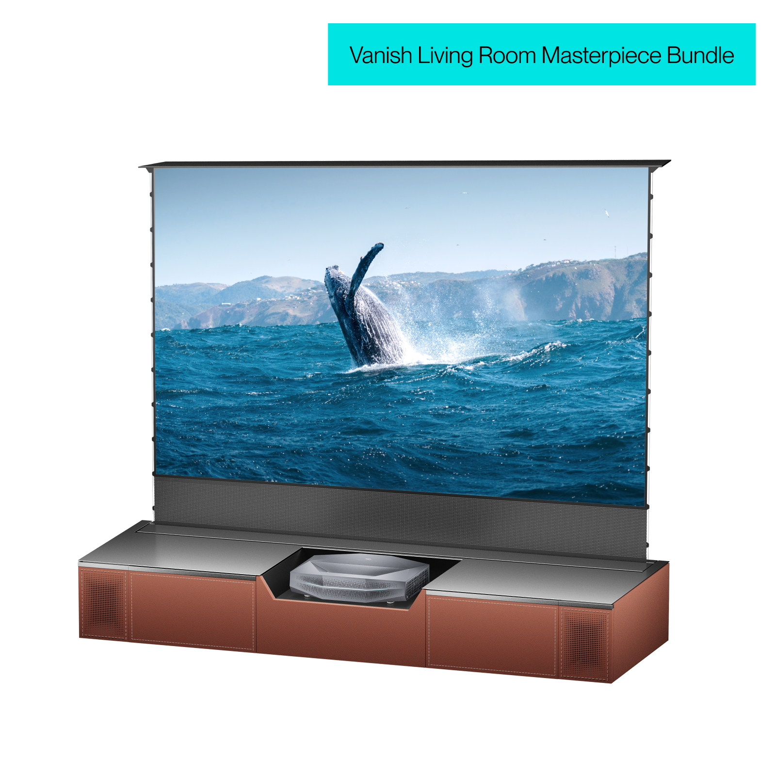 Vanish Living Room Masterpiece Bundle