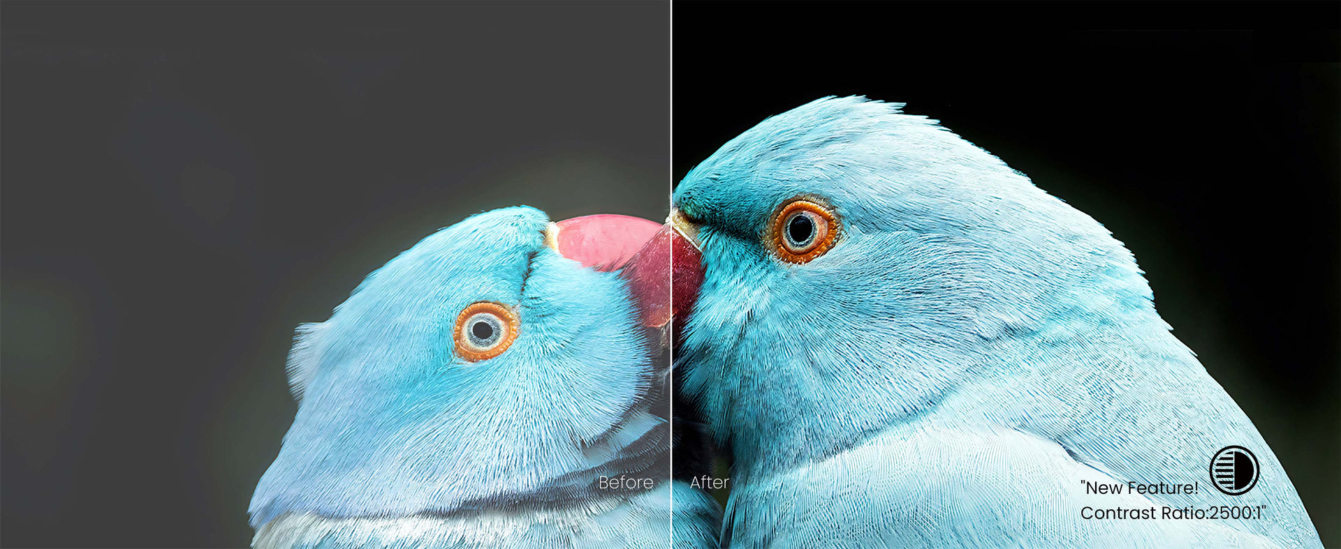 Comparación del antes y el después de AWOL Vision LTV-3500 Pro que muestra niveles de negro mejorados con una relación de contraste de 2200:1.