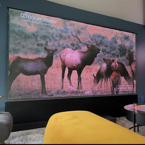 LTV-3500 Pro 4K Ultra Short Throw Laser Projector displaying a Dolby Vision wildlife scene, showcasing rich colors and detailed imagery of elk in a natural setting.