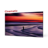 100''-150''  Lenticular Cinematic ALR Screen