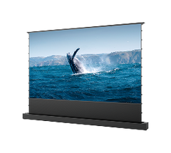 Floor Rising Screen