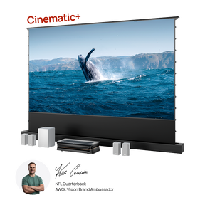 AWOL Theater 3000X Plus