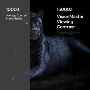 Long-Throw 4K RGB Triple Laser Projector Valerion VisionMaster Pro2
