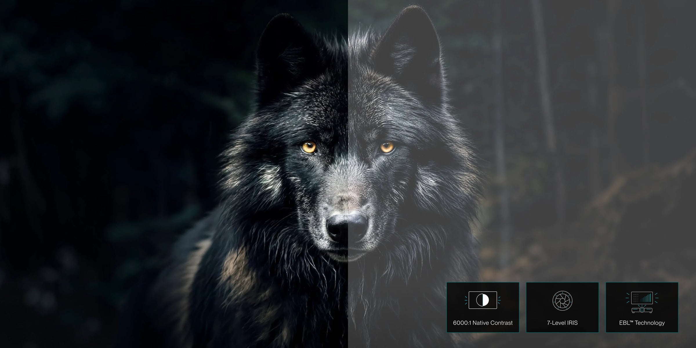 Deeper Blacks. More Cinematic Depth.