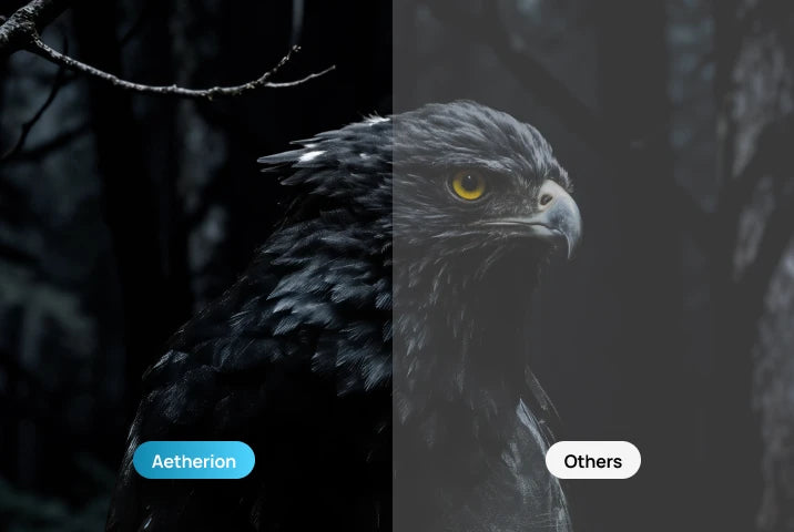 The Noirscene™ System II