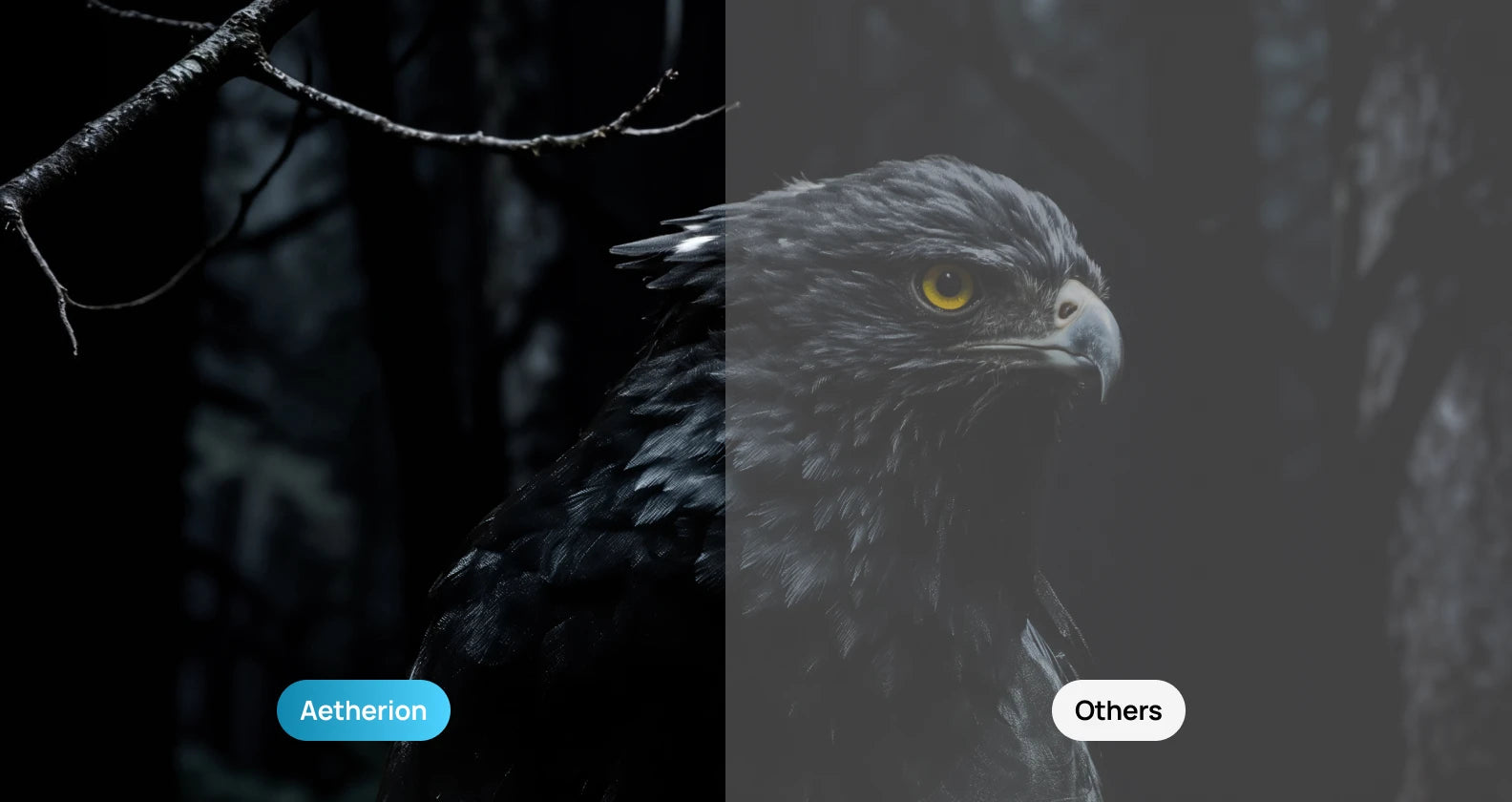 The Noirscene™ System II